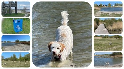 Hundegebiet Makkum - Eindrücke 1 Hundegebiet Makkum familienfreundliches Ferienhaus Schakelvilla mit Ruderboot und Sauna in Makkum am IJsselmeer