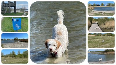 Hundegebiet Makkum familienfreundliches Ferienhaus Schakelvilla mit Ruderboot und Sauna in Makkum am IJsselmeer