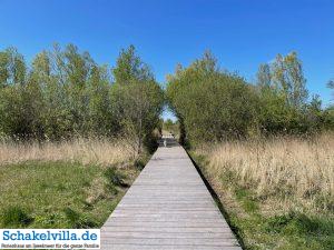 Hundegebiet Makkum - Eindrücke 21 bei schönem Wetter im Hundegebiet Makkum familienfreundliches Ferienhaus Schakelvilla mit Ruderboot und Sauna in Makkum am IJsselmeer