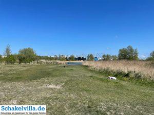 Hundegebiet Makkum - Eindrücke 26 große Hundewiese im Hundegebiet Makkum familienfreundliches Ferienhaus Schakelvilla mit Ruderboot und Sauna in Makkum am IJsselmeer