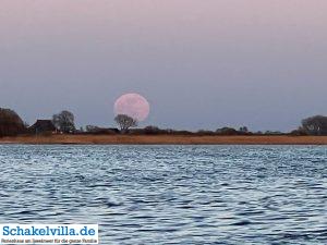 riesiger Vollmond geht auf 4 riesiger Vollmond geht auf - familienfreundliches Ferienhaus mit Sauna und Ruderboot in Makkum am IJsselmeer