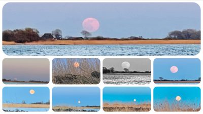 riesiger Vollmond geht auf - familienfreundliches Ferienhaus mit Sauna und Ruderboot in Makkum am IJsselmeer