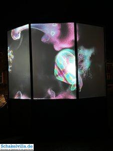 Luna Festival Waterstad Plattegrond Sneek 10 Aquatics Medusa - Luna Festival Waterstad Plattegrond Sneek - Ferienhaus Schakelvilla in Makkum am IJsselmeer