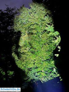 Luna Festival Waterstad Plattegrond Sneek 16 Gezichten van Sneek 2 - Luna Festival Waterstad Plattegrond Sneek - Ferienhaus Schakelvilla in Makkum am IJsselmeer