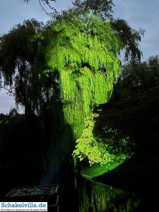 Luna Festival Waterstad Plattegrond Sneek 24 Gezichten van Sneek 8 - Luna Festival Waterstad Plattegrond Sneek - Ferienhaus Schakelvilla in Makkum am IJsselmeer