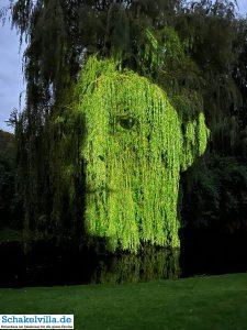 Luna Festival Waterstad Plattegrond Sneek 25 Gezichten van Sneek 9 - Luna Festival Waterstad Plattegrond Sneek - Ferienhaus Schakelvilla in Makkum am IJsselmeer