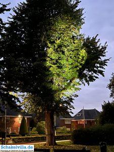 Luna Festival Waterstad Plattegrond Sneek 23 Gezichten van Sneek in der Dämmerung - Luna Festival Waterstad Plattegrond Sneek - Ferienhaus Schakelvilla in Makkum am IJsselmeer