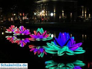 Luna Festival Waterstad Plattegrond Sneek 12 Lillies - Luna Festival Waterstad Plattegrond Sneek - Ferienhaus Schakelvilla in Makkum am IJsselmeer