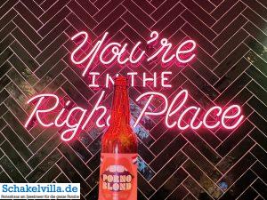 Hoorn in Nordholland am IJsselmeer 16 you are in the right place - Hoorn am IJsselmeer in Nordholland - Schakelvilla Ferienhaus am IJsselmeer