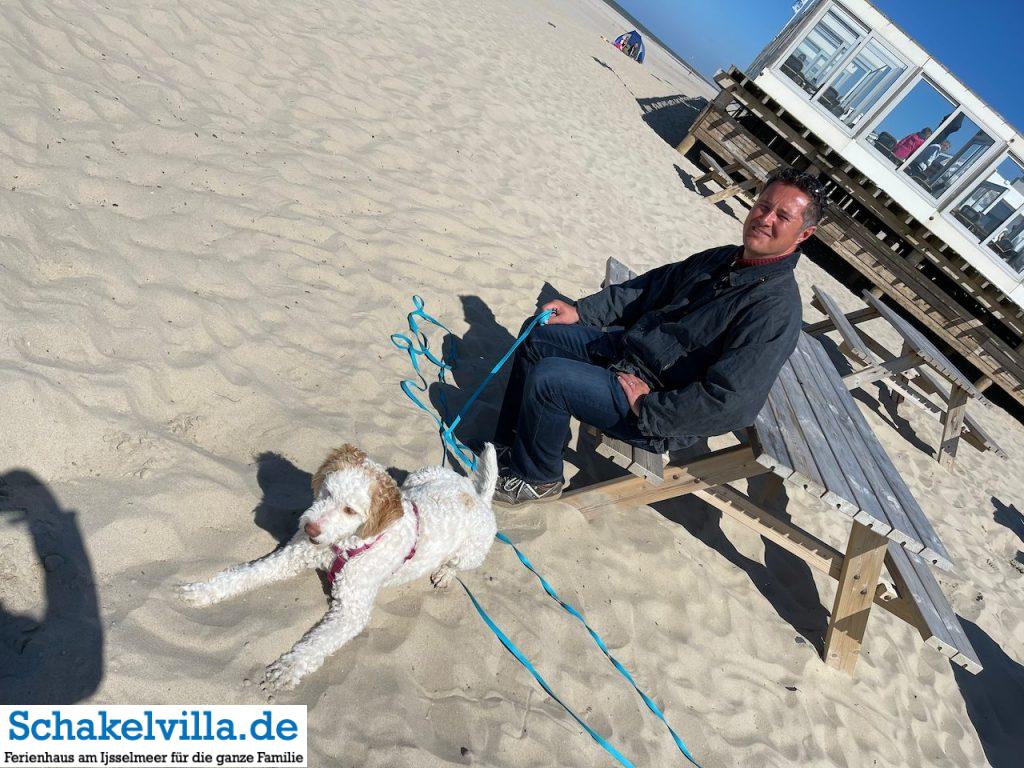 Callantsoog - Nordholland 10 Luna am Strand - Callantsoog - Ausflugstipp Ferienhaus Schakelvilla mit Ruderboot und Sauna in Makkum am IJsselmeer