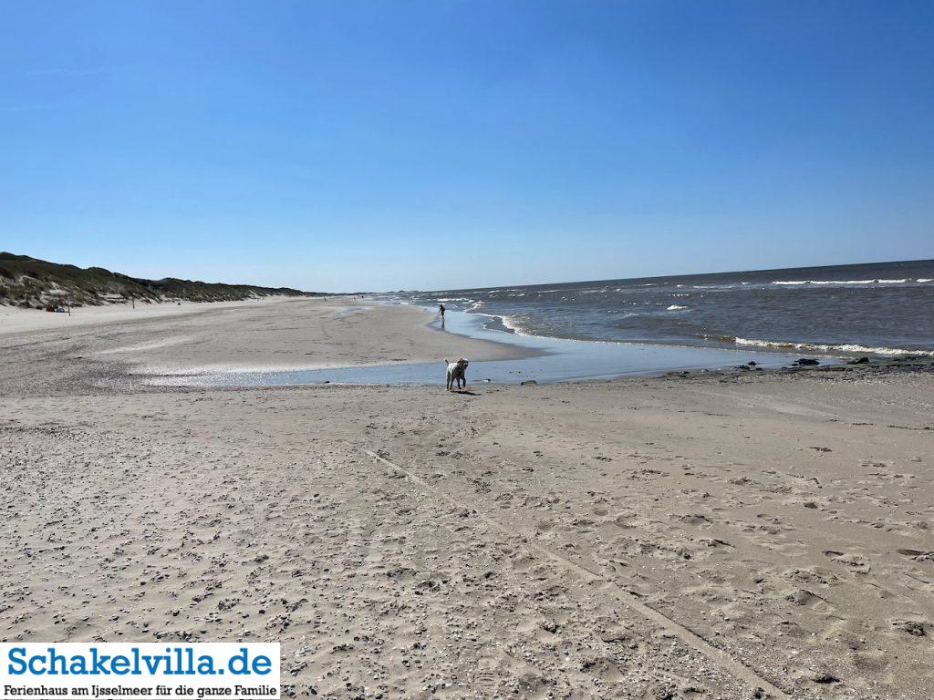 Callantsoog - Nordholland 22 weitläufiger Strand - Callantsoog - Ausflugstipp Ferienhaus Schakelvilla mit Ruderboot und Sauna in Makkum am IJsselmeer