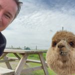 Fotoshooting in der Alpaca World Friesland in Workum - Ausflugstipp von Ferienhaus Schakelvilla in Makkum am IJselmeer