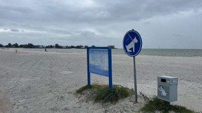 Hundestrand Makkum 1 Hundestrand Makkum Hundegebiet - Hunde am Strand erlaubt - Tipp von Ferienhaus Schakelvilla mit Sauna und Ruderboot in Makkum am IJsselmeer