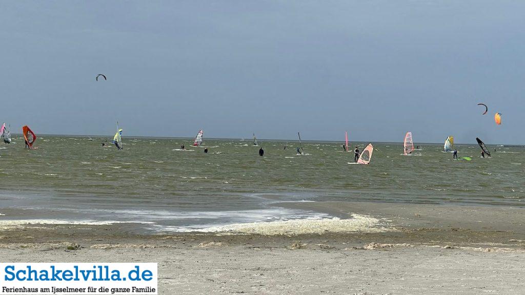 Surf- und Kiteparadies - Schakelvilla Ferienhaus mit Sauna Kamin und Ruderboot in Makkum am IJsselmeer