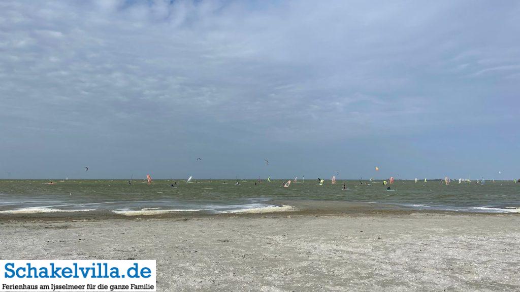 Surfparadies - Schakelvilla Ferienhaus mit Sauna Kamin und Ruderboot in Makkum am IJsselmeer