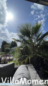 Ferienhaus außen 16 unser ganzer Stolz - unter Palmen am Ferienhaus Schakelvilla mit Ruderboot und Sauna