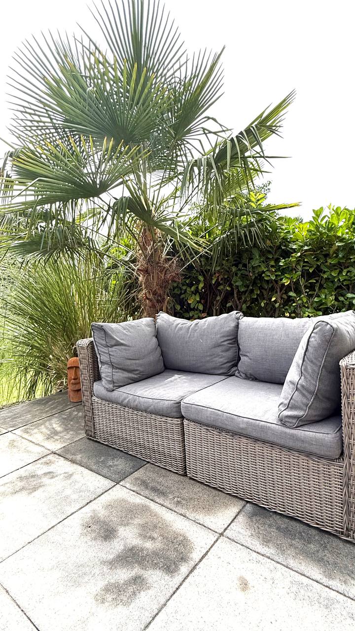 Unter der Palme sitzen – natürlicher Schatten auf der Lounge in der Schakelvilla