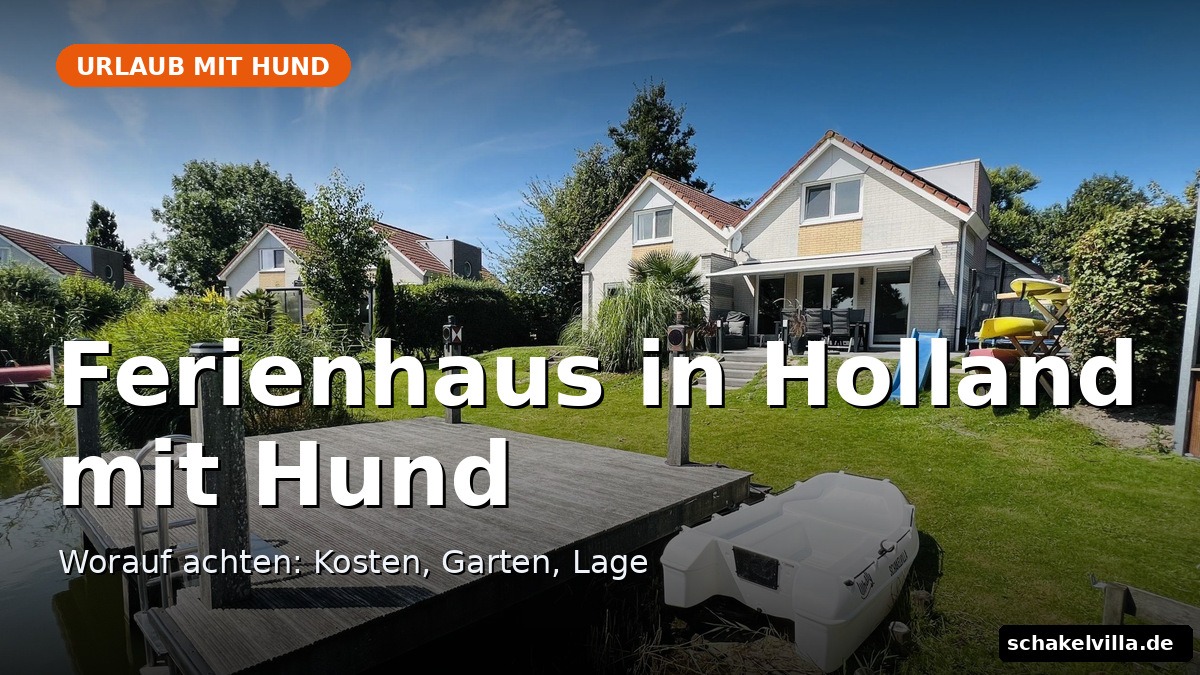 Ferienhaus in Holland mit Hund – worauf achten