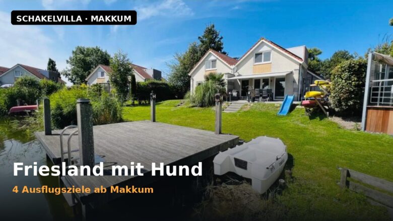 Friesland mit Hund: Ausflugsziele ab Makkum (Titelbild)